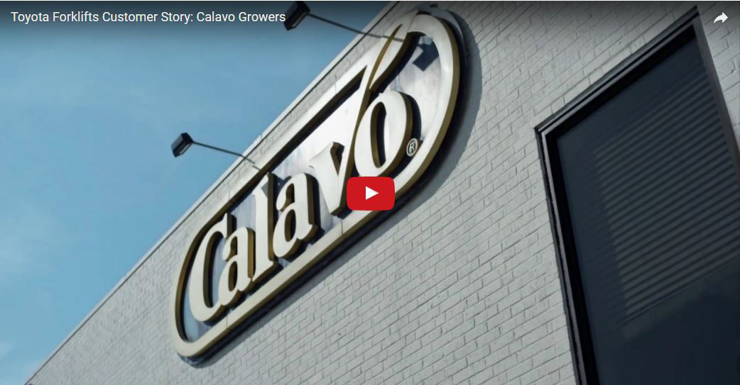 Vídeo de Calavo Growers Caso de estudio Miniatura de vídeo